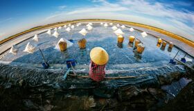 Capture the authentic charm of Vietnam’s cultural scene